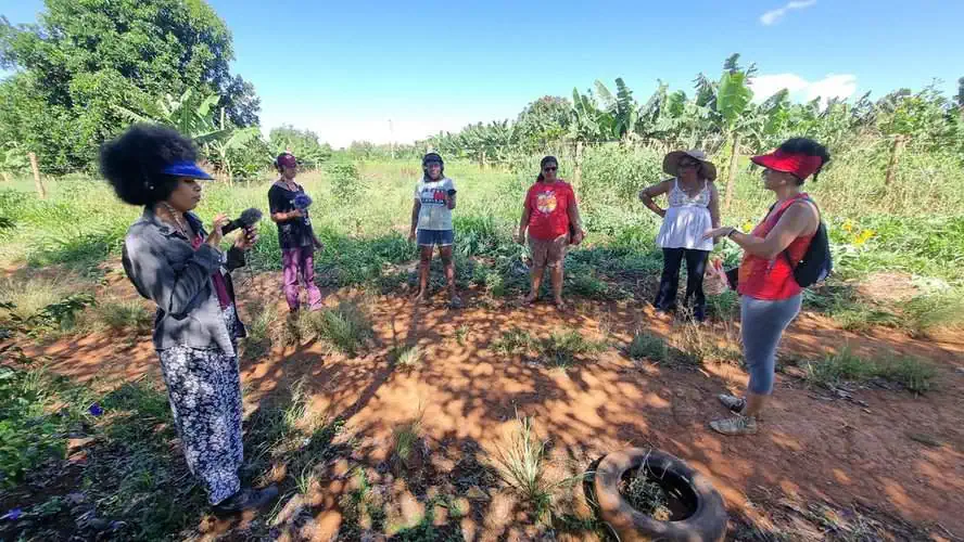 Cineasta brasiliense lança o Sonário da Terra
