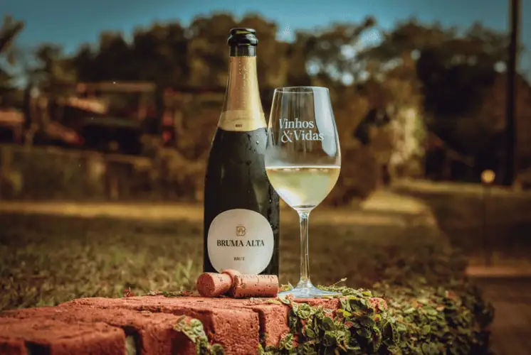 Bruma Alta prepara segundo leilão “Vinhos e Vidas”
