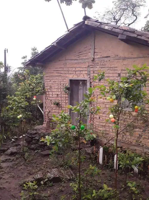 A memória afetiva das casas de pau a pique mineiras