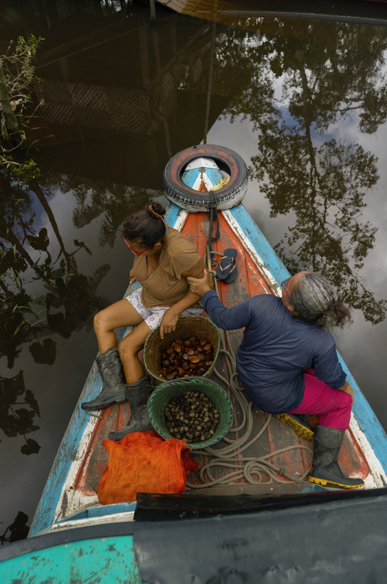 Natura lança startup que conecta Amazônia ao mercado global