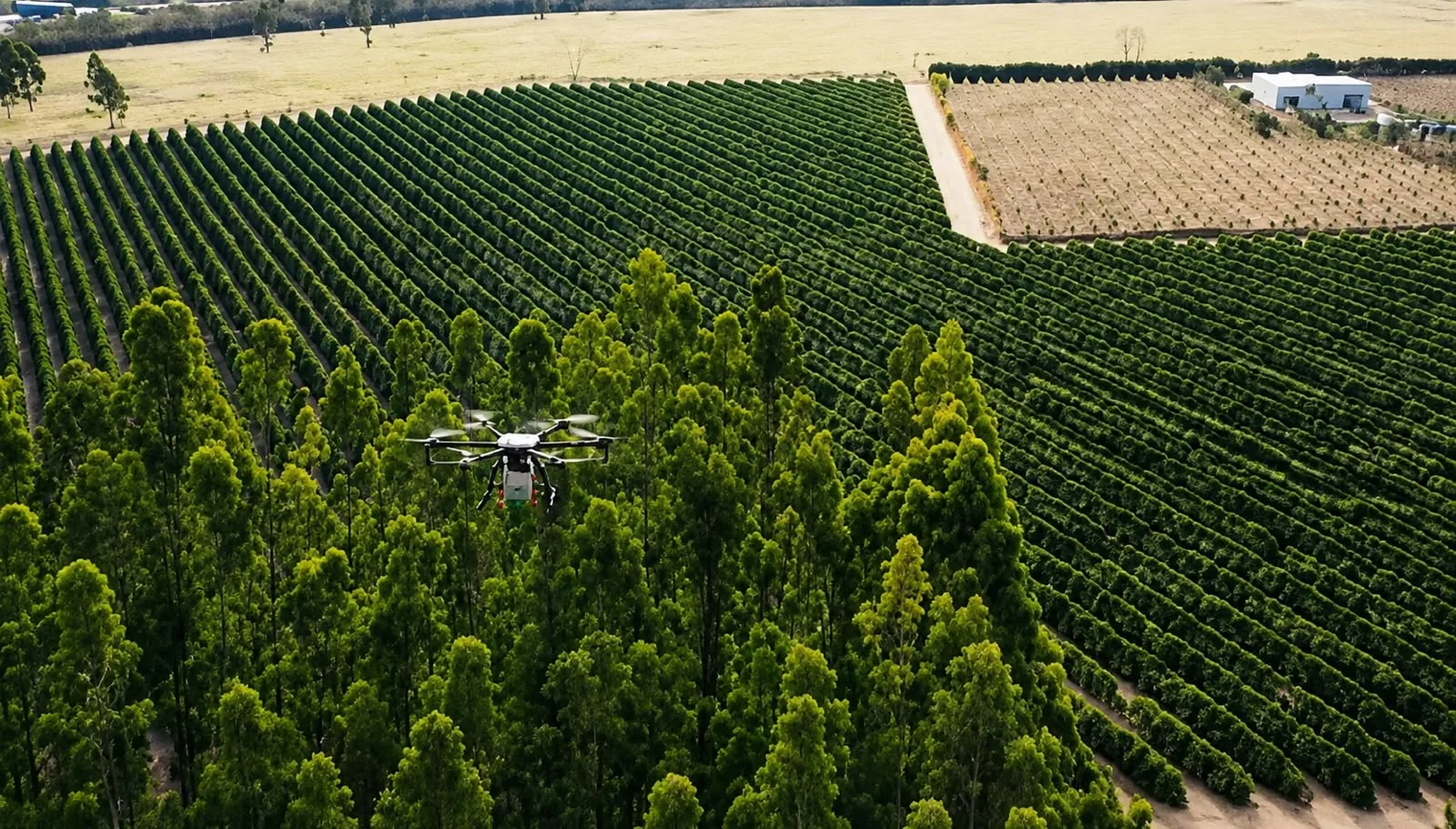 Drones, satélites e visão computacional transformam a lavoura